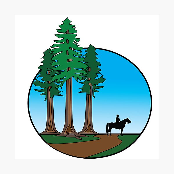Item preview, Adventures in the Redwoods designed and sold by DickinsonDesign.