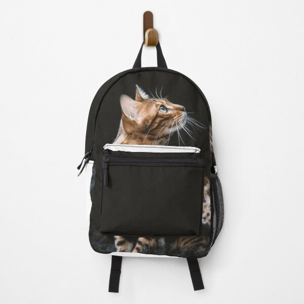 Item preview, cat designed and sold by Z Aoriginal Sticker ⭐️⭐️⭐️⭐️⭐️.