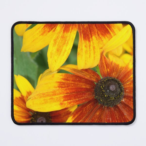 Item preview, Colorful flowers in summer garden designed and sold by olena2552.