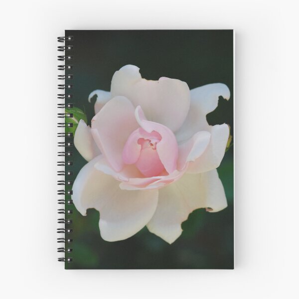 Item preview, Pink Rose designed and sold by SoelleBloom.