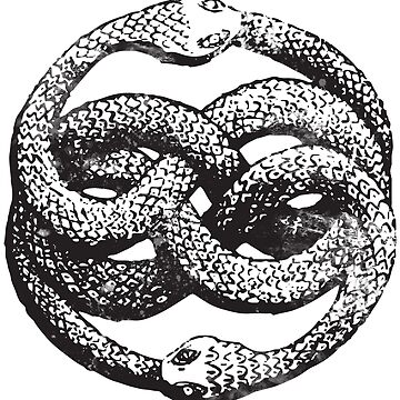 Artwork thumbnail, The Auryn by Pop-Tacular