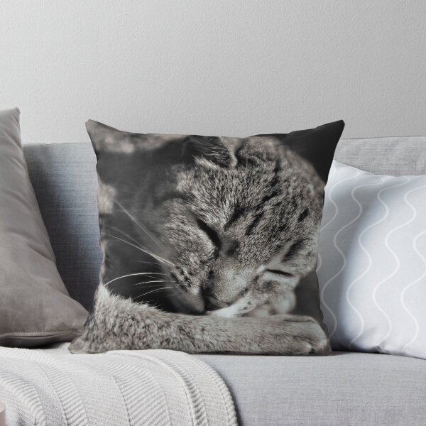 Item preview, sleepy black and white snuggy cat designed and sold by Michael Hofmann.