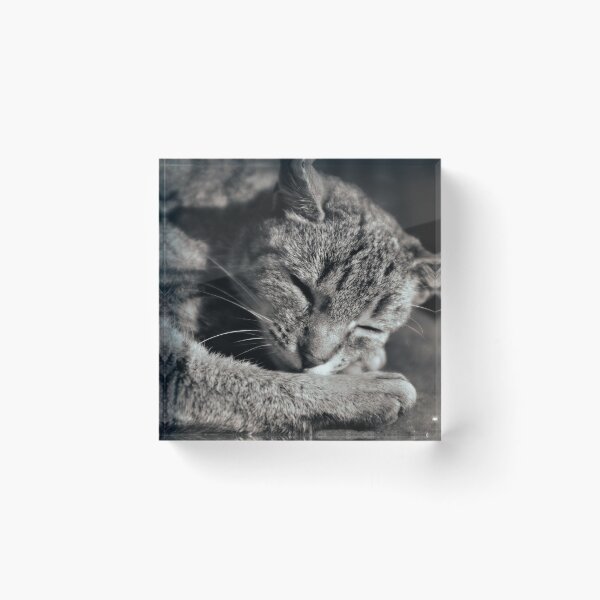 Item preview, sleepy black and white snuggy cat designed and sold by Michael Hofmann.