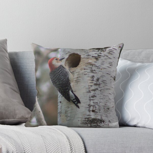 Item preview, Red bellied woodpecker Erie PA designed and sold by Donald Dandrea.