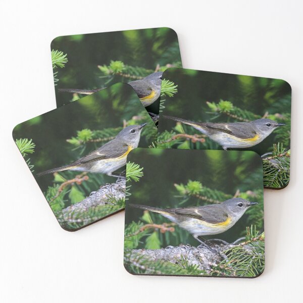 Item preview, American Redstart Female designed and sold by Deb Oppermann.