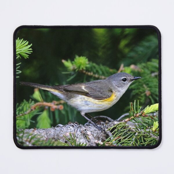 Item preview, American Redstart Female designed and sold by Deb Oppermann.