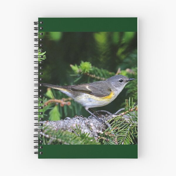 Item preview, American Redstart Female designed and sold by Deb Oppermann.