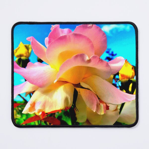 Item preview, Summer Rose designed and sold by Nandeeta.