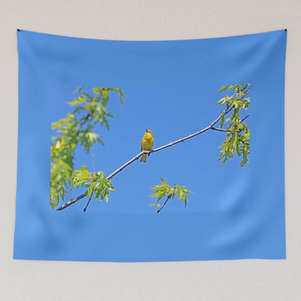 Item preview, Yellow Warbler In Song designed and sold by Deb Oppermann.