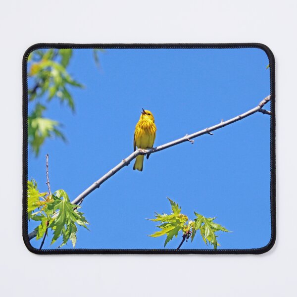 Item preview, Yellow Warbler In Song designed and sold by Deb Oppermann.