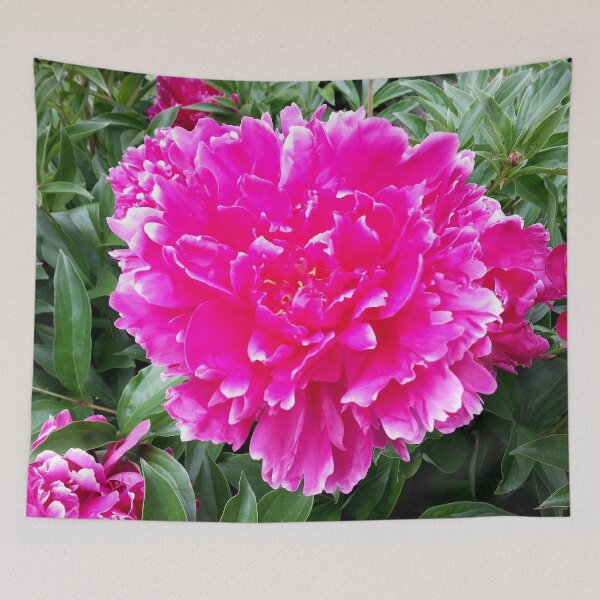 Item preview, Magenta Peony designed and sold by bjtomiko.