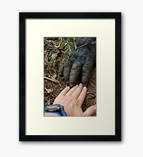 Gorilla Touch Framed Print