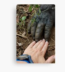 Gorilla Touch Canvas Print