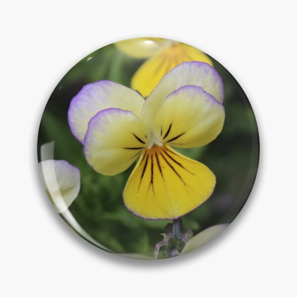 Item preview, yellow violas designed and sold by ELMbytheriver.