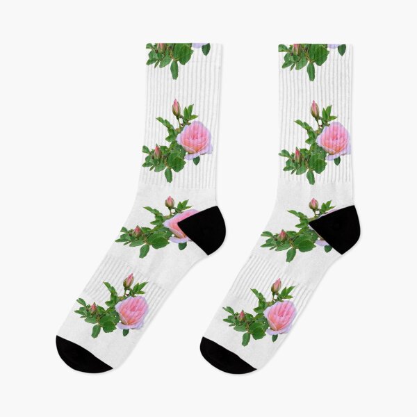 Item preview, Pink Renaissance Rose Flower with 2 Buds designed and sold by Shapes-Mania.