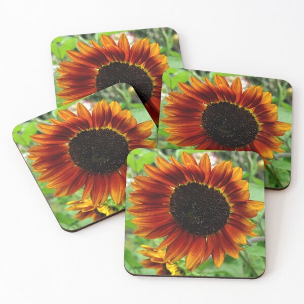 Item preview, Sunflower in Autumn designed and sold by michaelasamples.