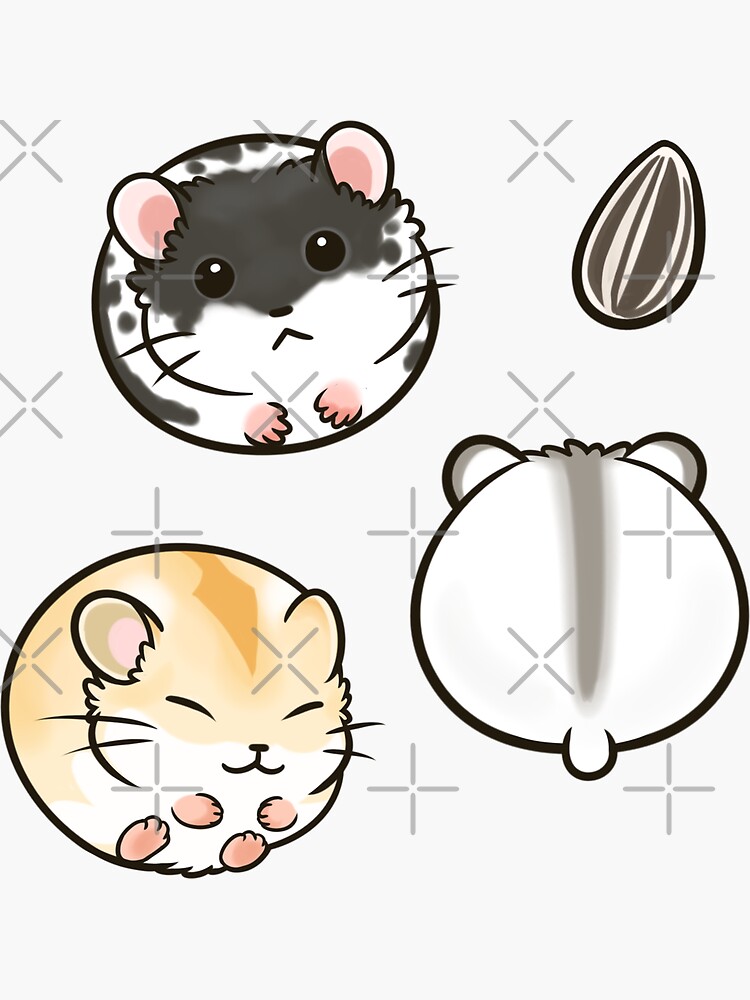 "Dwarf Hamsters set 1" Sticker for Sale by pawlove Redbubble