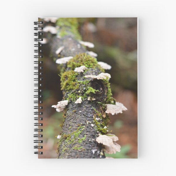 Item preview, Rain forest  designed and sold by farq.