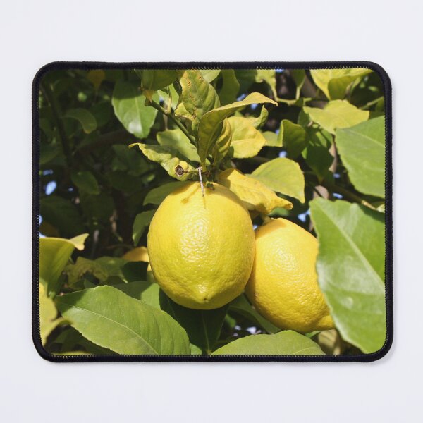 Item preview, Fresh Lemons on a Tree designed and sold by SiliconValleyUS.