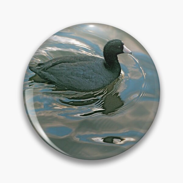 Item preview, American Coot in a Pond designed and sold by SiliconValleyUS.