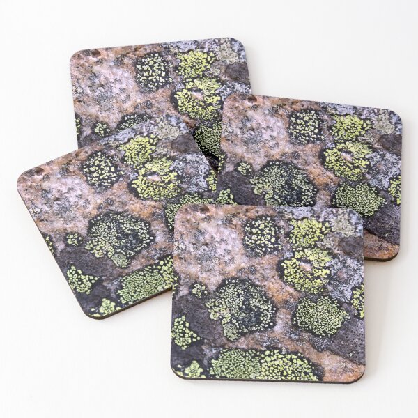Item preview, lichen designed and sold by KathleenDawson.