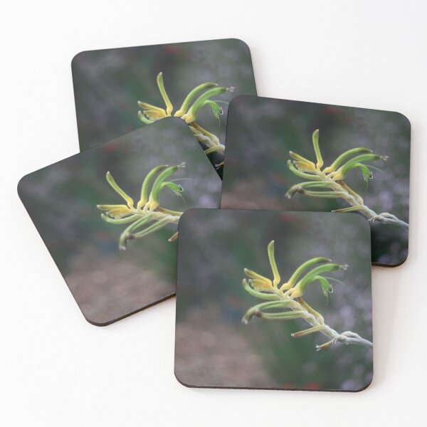 Item preview, Kangaroo Paw designed and sold by Melinda  Ison - Poor.