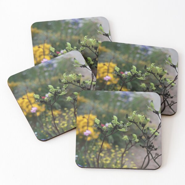 Item preview, Kangaroo Paw designed and sold by Melinda  Ison - Poor.