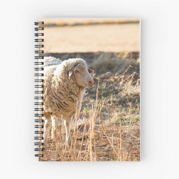 Item preview, Australian farm sheep designed and sold by visualsensation.