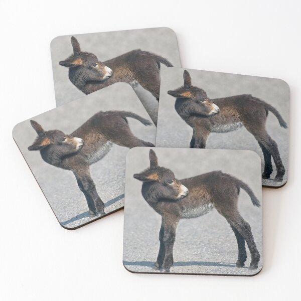 Item preview, Baby Donkey designed and sold by Krys Bailey.