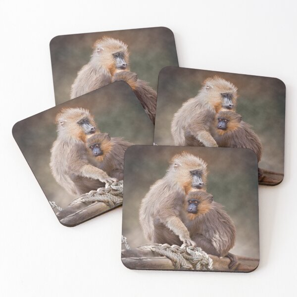 Item preview, Safe Haven designed and sold by Krys Bailey.