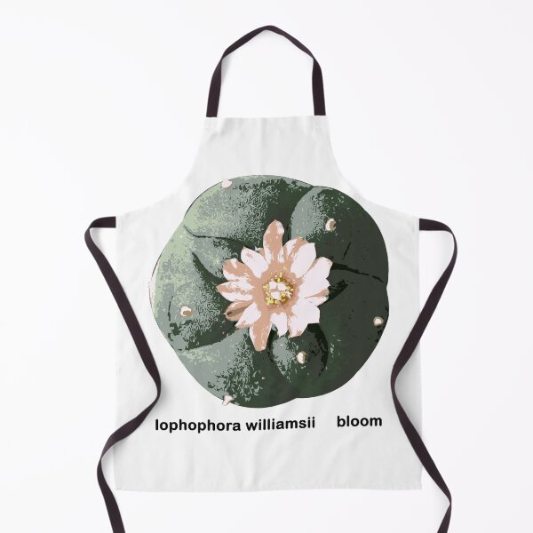 Item preview, Lophophora williamsii Peyote cactus designed and sold by Doooriginals.