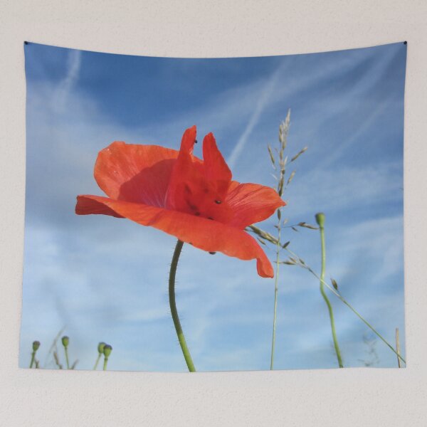 Item preview, Mak i plavo nebo designed and sold by Bobo-Print.