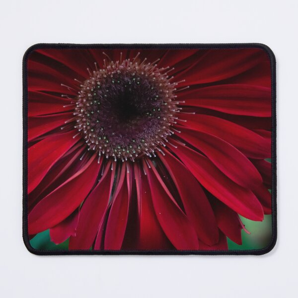 Item preview, Red Gerbera designed and sold by SensingAngels.
