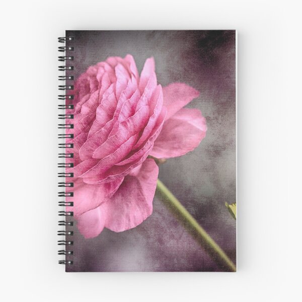 Item preview, Pink Ranunculus Flower designed and sold by James DeFazio.