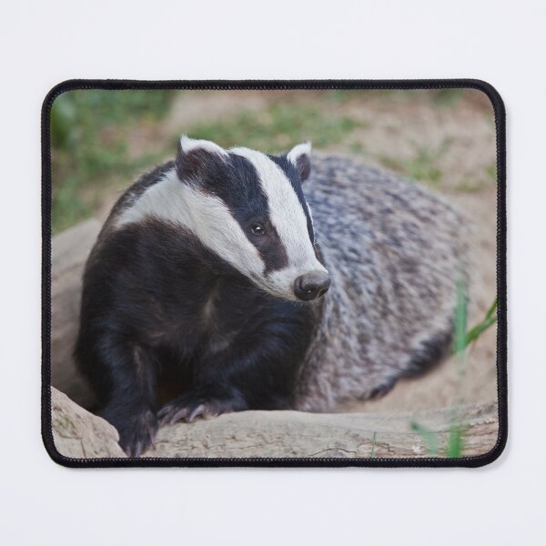 Item preview, European Badger designed and sold by Krys Bailey.
