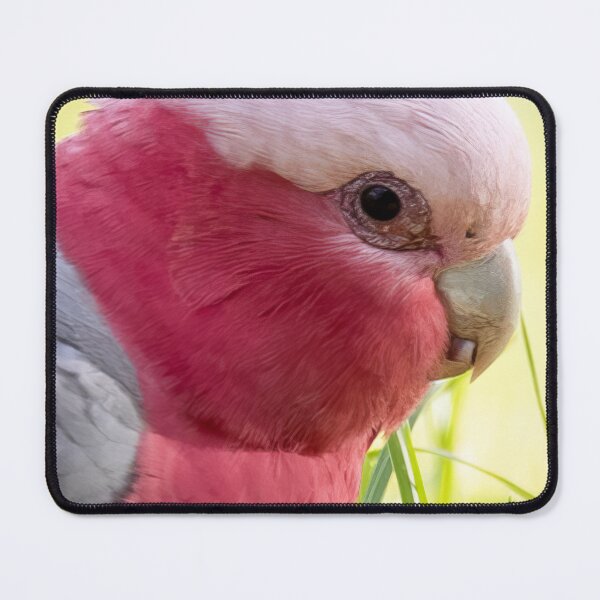 Item preview, Australian Galah - Adelaide, South Australia designed and sold by SensingAngels.