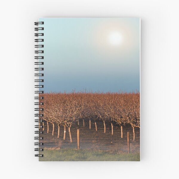 Item preview, Sunlit Grapes in a Foggy Serenade designed and sold by NatureSouvenirs.