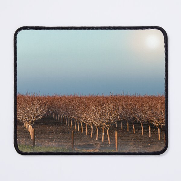 Item preview, Sunlit Grapes in a Foggy Serenade designed and sold by NatureSouvenirs.