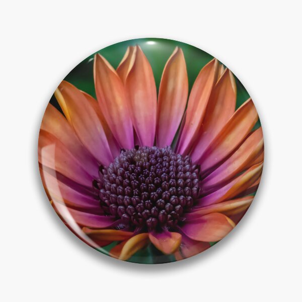 Item preview, Orange Daisy designed and sold by SensingAngels.