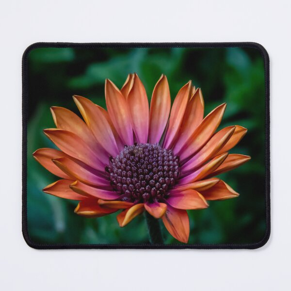 Item preview, Orange Daisy designed and sold by SensingAngels.