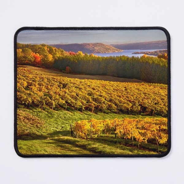 Item preview, Autumn in the Vineyard - Finger Lakes, NY designed and sold by Kathy Weaver.