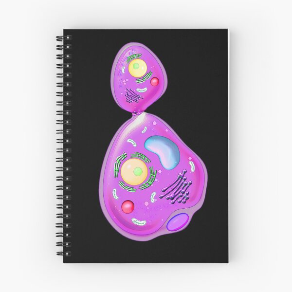 Item preview, Funglob designed and sold by Pebbledrops.