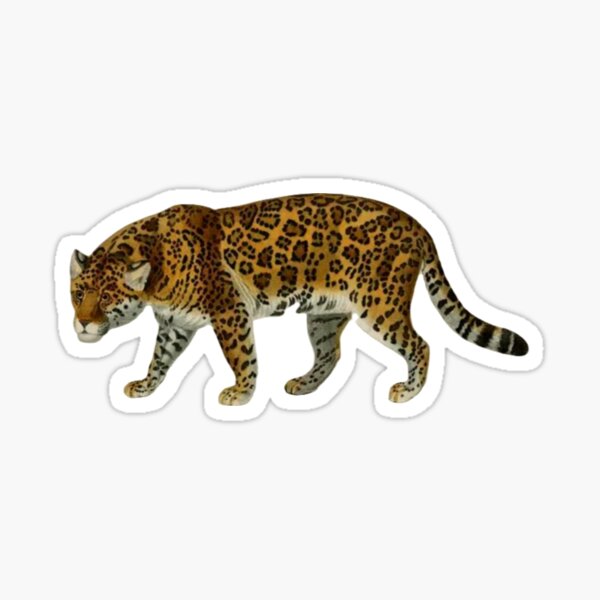 Vista previa del artículo con la obra «Tigre de Bengala», diseñado y vendido por WAKYSHOP.