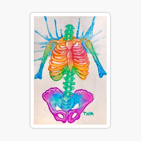Skeleton Watercolor Painting Sticker