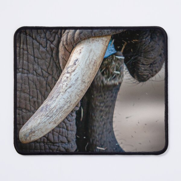 Item preview, Trunk Call designed and sold by Dalyndigital Photography.