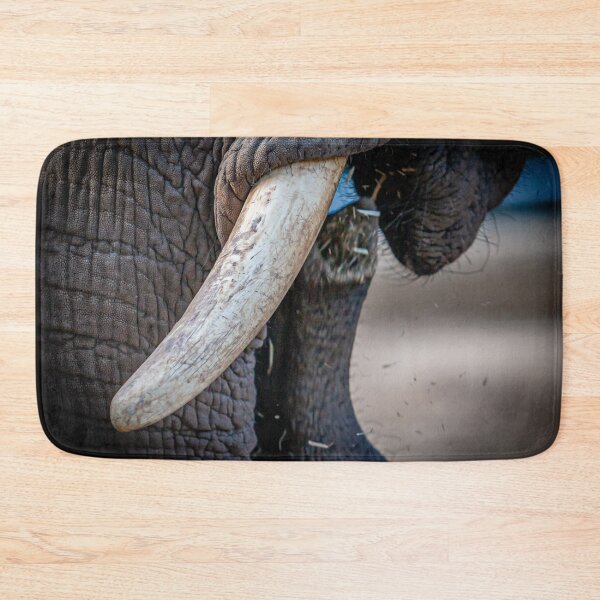 Item preview, Trunk Call designed and sold by Dalyndigital Photography.