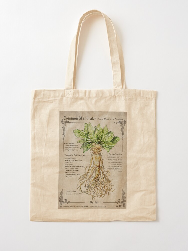 Canvas Tote Bags  Mystic Moons Books & Brews