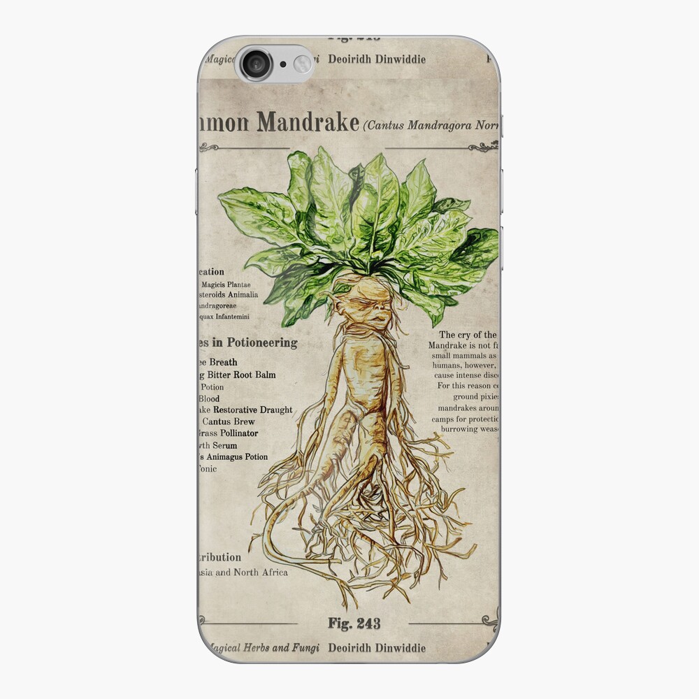 Mandrake planta poster bruxaria herbologia plantas pintura da lona