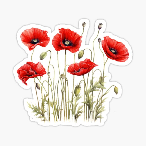 Artikel-Vorschau von Farbenfrohe rote Mohnblume, florales lineares Musterdesign, beruhigend, designt und verkauft von ArchanaAsh.
