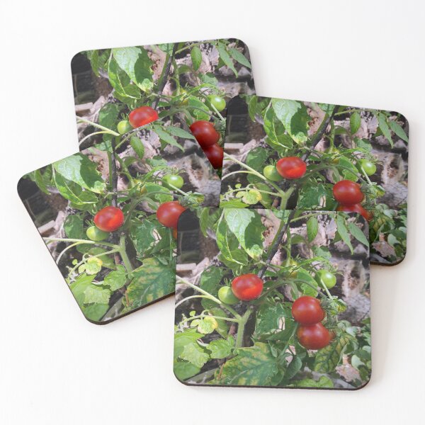 Item preview, Tomatoes ripe for harvest designed and sold by Gourmetkater.
